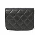 Chanel Wallet on Chain, WOC Chanel Bag, Designer Chanel Wallet