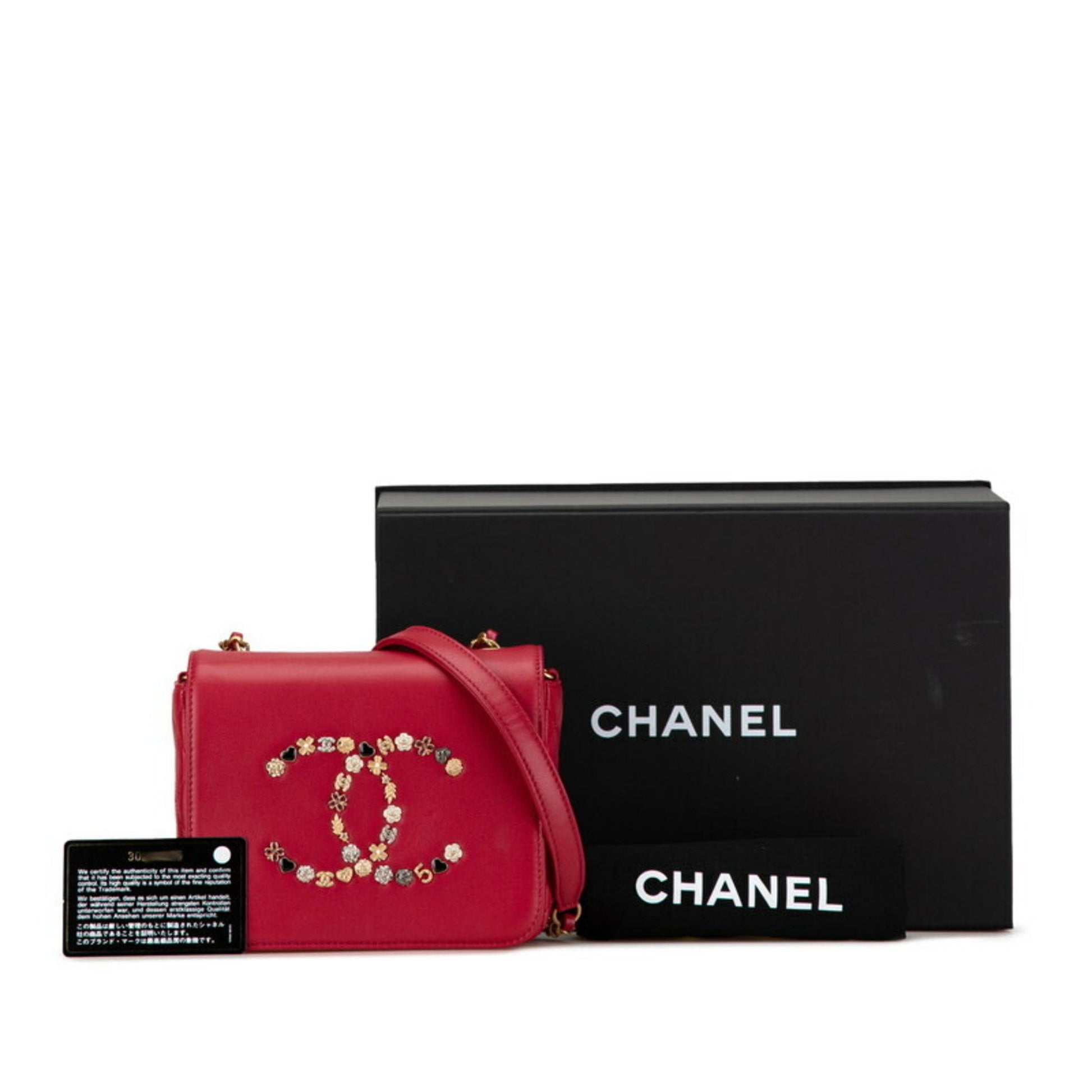 Chanel Coco Mark bag, luxury Chanel Coco, iconic Chanel Coco logo handbag