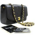 Chanel Diana Bag – Vintage & Elegant Classic Handbag
