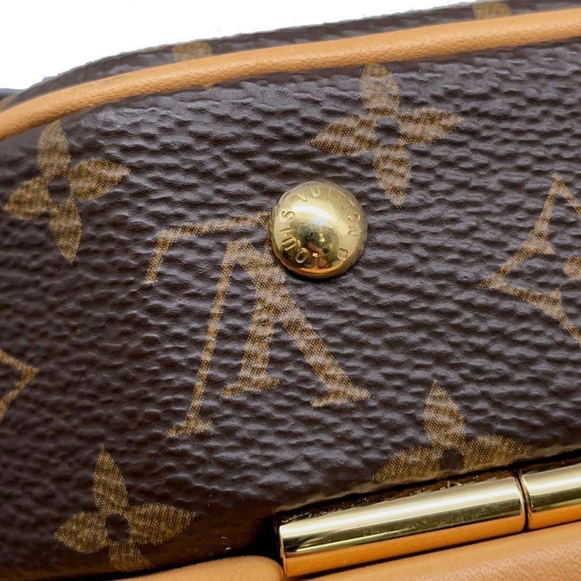 Louis Vuitton bags, Louis Vuitton accessories, Louis Vuitton fashion