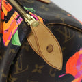 Louis Vuitton Speedy 30 – Classic Monogram Handbag