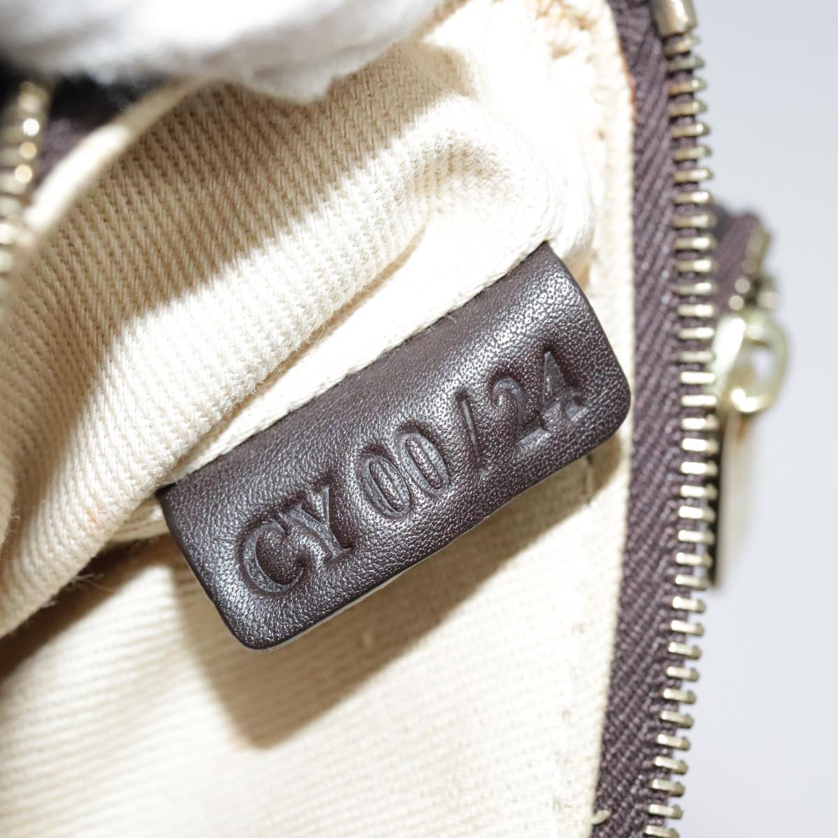 Celine Triomphe Designer Shoulder Bag