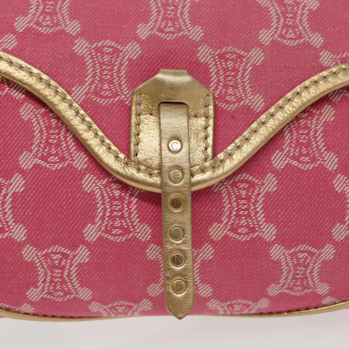 Céline Triomphe bag, luxury Céline Triomphe, designer Triomphe bag