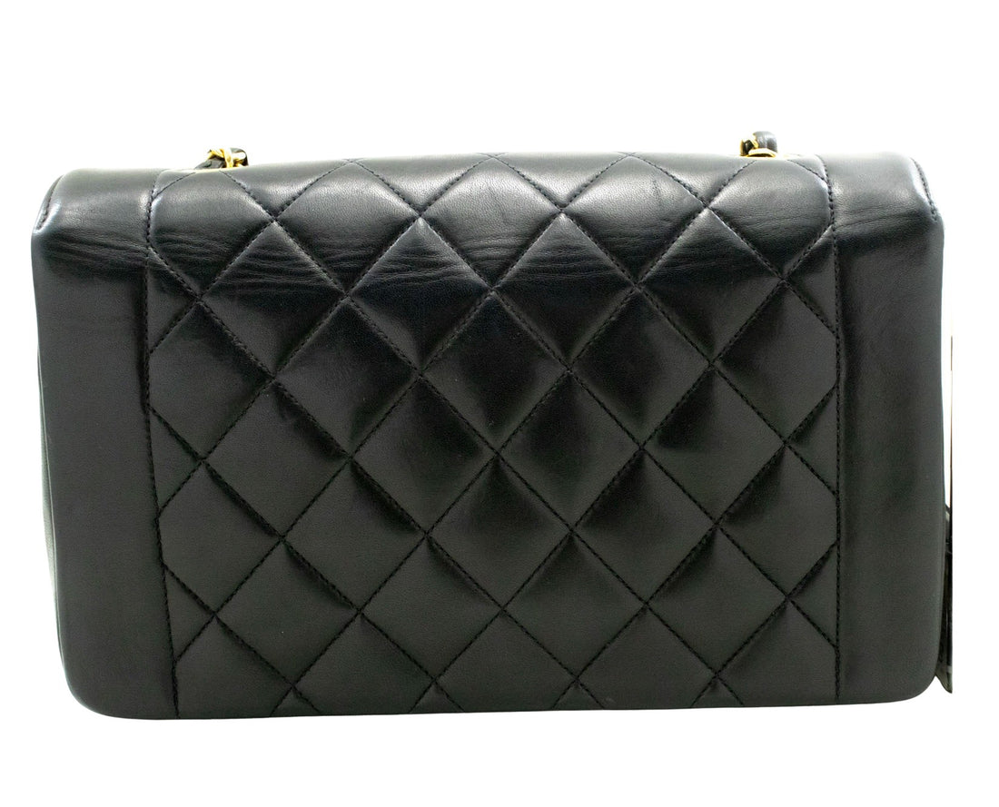 Chanel Diana bag, Chanel luxury bags, Chanel fashion accessories