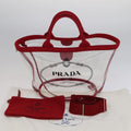 Prada Plexi Bag, luxury Prada Plexi handbag, designer Prada Plexi bag