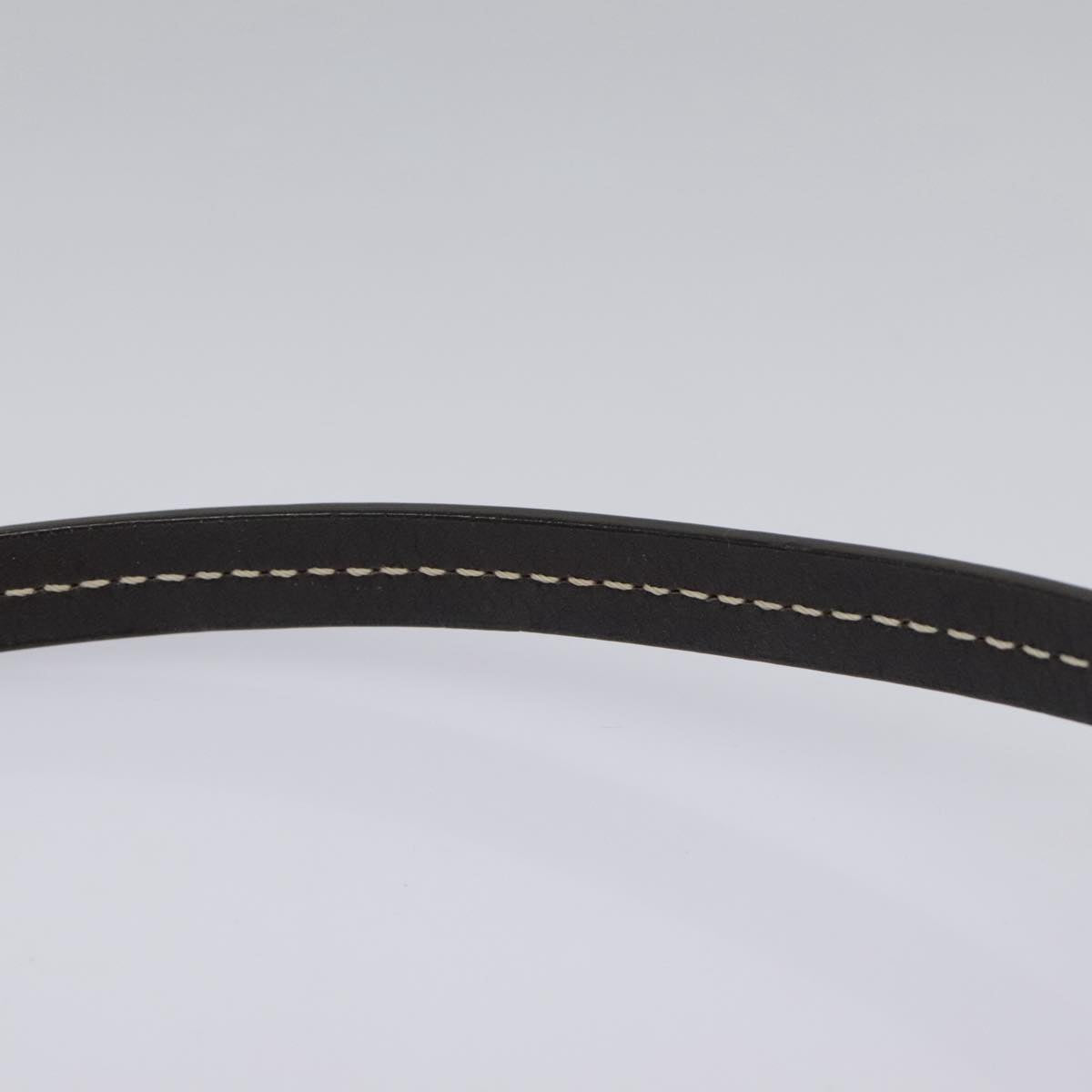 Celine Triomphe Designer Shoulder Bag