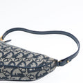 Dior Saddle Bag, Designer Saddle Bag, Luxury Dior Handbag