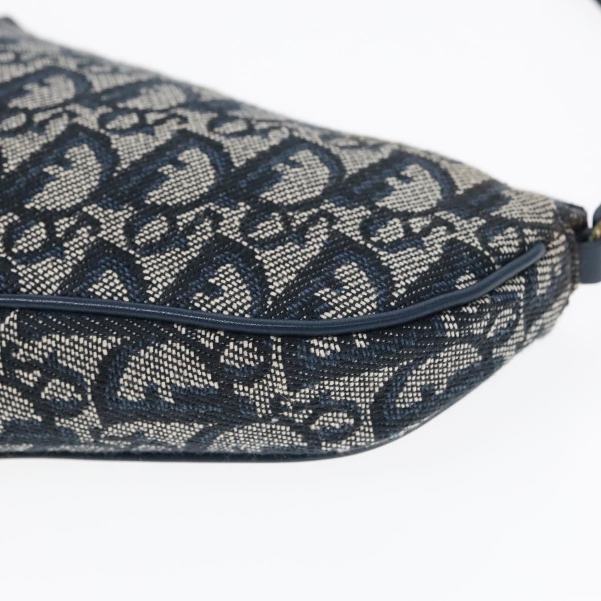 Dior Saddle Bag, Designer Saddle Bag, Luxury Dior Handbag