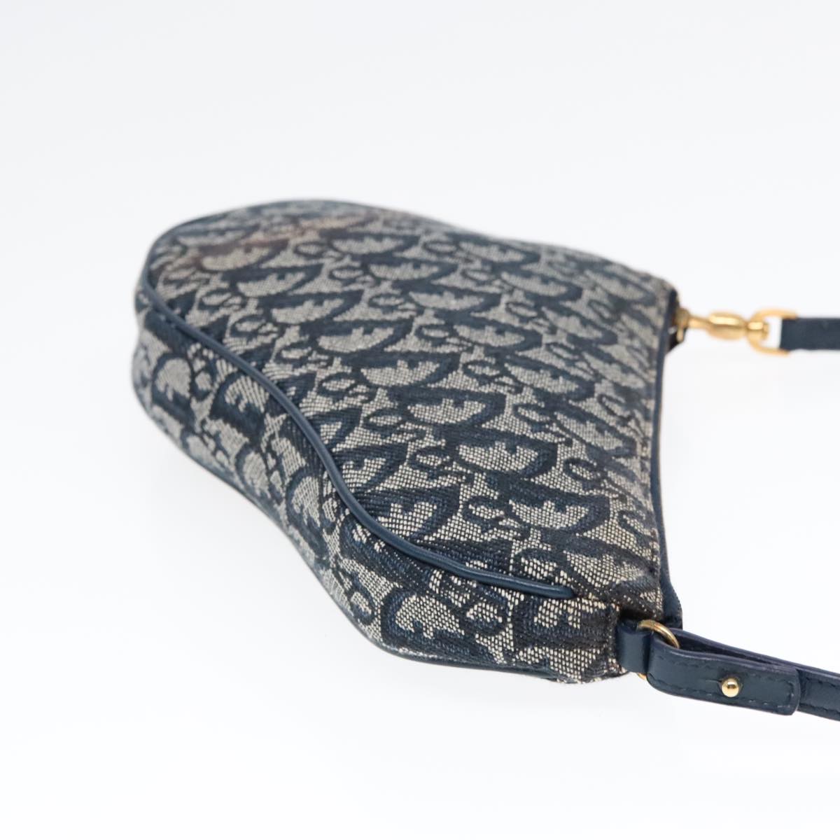 Dior Saddle Bag, Designer Saddle Bag, Luxury Dior Handbag