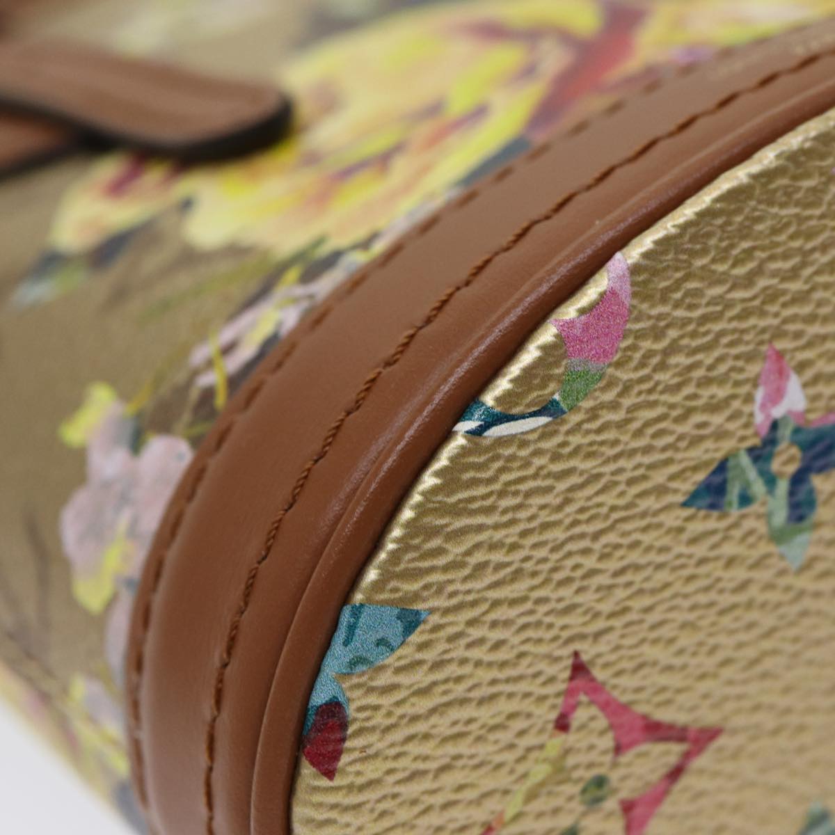 Louis Vuitton Bucket bag, LV Bucket bag, luxury Louis Vuitton bucket handbag