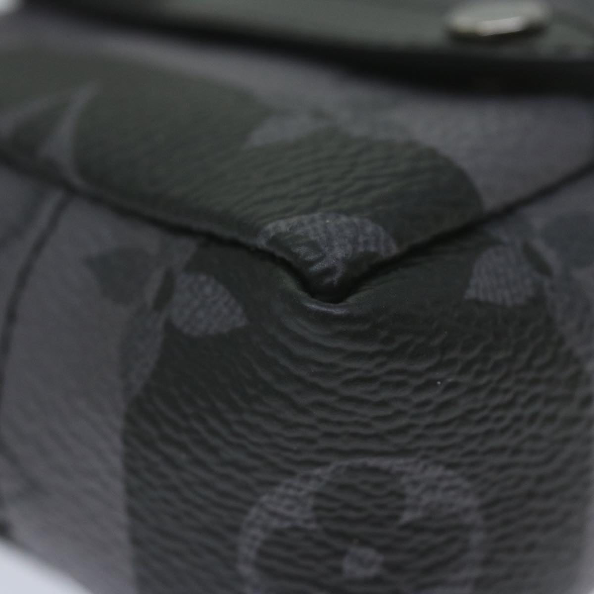 Louis Vuitton Tiger Collection – Luxury Limited Edition Accessories