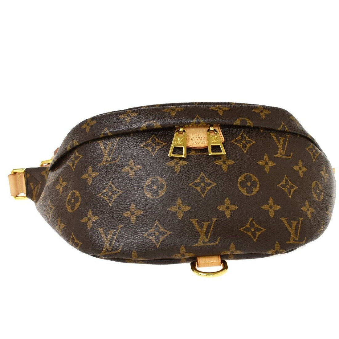 Louis Vuitton Monogram bags, LV Monogram leather, luxury Louis Vuitton bags